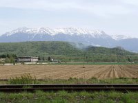 RO, Brasov, Zarnesti, Zarnesti village 3, Saxifraga-Tom Heijnen