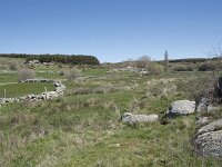 E, Avila, Navarradonda de Gredos 18, Saxifraga-Willem van Kruijsbergen
