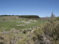 E, Avila, Navarradonda de Gredos 24, Saxifraga-Willem van Kruijsbergen