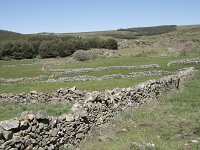 E, Avila, Navarradonda de Gredos 33, Saxifraga-Willem van Kruijsbergen