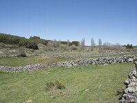 E, Avila, Navarradonda de Gredos 66, Saxifraga-Willem van Kruijsbergen