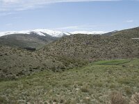 E, Avila, San Juan de Gredos, Rio Barbellido 9, Saxifraga-Willem van Kruijsbergen