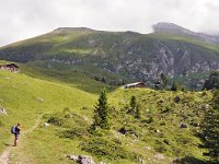 CH, Bern, Frutigen, Elsigenalp 1, Saxifraga-Tom Heijnen