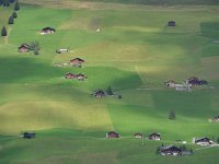 CH, Bern, Lauenen, near Lauenen, Saxifraga-Tom Heijnen