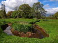 NL, Drenthe, Aa en Hunze, Burgvollen 4, Saxifraga-Hans Dekker