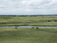 NL, Friesland, Noardeast-Fryslan, Lauwersmeer 32, Saxifraga-Willem van Kruijsbergen