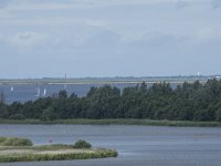 NL, Friesland, Noardeast-Fryslan, Lauwersmeer 33, Saxifraga-Willem van Kruijsbergen