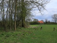 NL, Gelderland, Brummen, Cortenoever 87, Saxifraga-Hans Boll