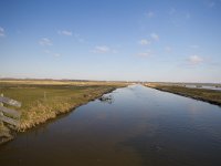 NL, Gelderland, Nijkerk, Arkemheen 19, Saxifraga-Jan Nijendijk