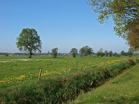 NL, Groningen, Stadskanaal, Alteveer 6, Saxifraga-Hans Dekker