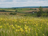 Limburg