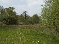 NL, Noord-Brabant, Baarle Nassau, De Broskens 16, Saxifraga-Willem van Kruijsbergen