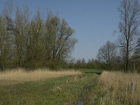 NL, Noord-Brabant, Baarle-Nassau, Halsche Beemden 107, Saxifraga-Willem van Kruijsbergen