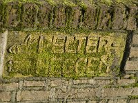 NL, Noord-Brabant, Valkenswaard, Pelterheggen 26, Saxifraga-Jan van der Straaten