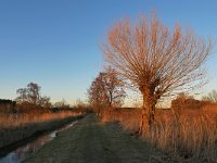 NL, Noord-Brabant, Bergeijk, Visvijvers Bergeijk (Liskes) 10, Saxifraga-Tom Heijnen