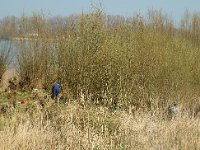 NL, Noord-Brabant, Altena, Spieringpolder 3, Saxifraga-Jan van der Straaten