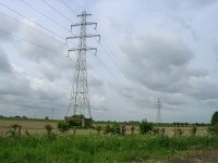 NL, Gelderland, Rijnwaarden, Rijnstrangen 1, Saxifraga-Henk Sierdsema