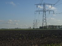 NL, Noord-Brabant, Altena, Middelste Kievitswaard 3, Saxifraga-Jan van der Straaten