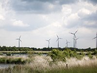 Bargerveen + windpark