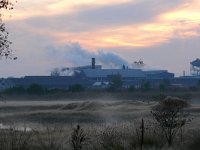 NL, Noord-Brabant, Cranendonck, Zinkfabriek 1, Saxifraga-Tom Heijnen