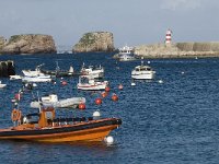 P, Faro, Vila do Bispo, Sagres 6, Saxifraga-Willem van Kruijsbergen