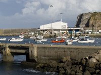 P, Faro, Vila do Bispo, Sagres 7, Saxifraga-Willem van Kruijsbergen