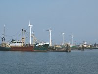 NL, Groningen, De Marne, Lauwersoog 1, Saxifraga-Jan van der Straaten