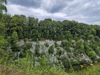 Abandoned limestone quarry, breeding site of Eagle owl (Bubo bubo); Winterswijk, Gelderland, Netherlands  Abandoned limestone quarry, breeding site of Eagle owl (Bubo bubo); Winterswijk, Gelderland, Netherlands : stone, lime stone, quarry, breeding site, Eagle owl, european eagle owl, owl, Bubo bubo, Winterswijk, Gelderland, Netherlands, dutch, europe, european, rural, rural landscape, non-urban landscape, rural scene, non-urban scene, summer, summertime, nobody, no people, nature, natural, forest, tree, trees, abandoned, stone quarry, geology
