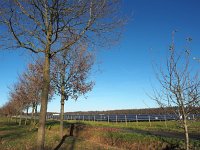 NL, Drenthe, Hoogeveen, Fluitenberg 1, Saxifraga-Hans Dekker