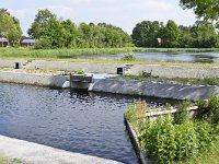 NL, Noord-Brabant, Bladel, Rioolwaterzuivering Hapert 2, Saxifraga-Tom Heijnen