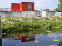 NL, Noord-Brabant, Bladel, Rioolwaterzuivering Hapert 4, Saxifraga-Tom Heijnen