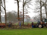 NL, Drenthe, Hoogeveen, Pesse 1, Saxifraga-Hans Dekker