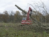 NL, Noord-Brabant, Valkenswaard, Pelterheggen 34, Saxifraga-Jan van der Straaten