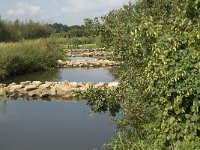 NL, Noord-Brabant, Oirschot, Spoordonk, de Beerze 1, Saxifraga-Jan van der Straaten