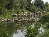 NL, Noord-Brabant, Oirschot, Spoordonk, de Beerze 4, Saxifraga-Jan van der Straaten