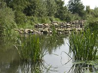 NL, Noord-Brabant, Oirschot, Spoordonk, de Beerze 5, Saxifraga-Jan van der Straaten