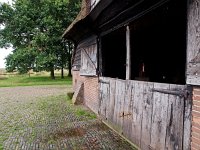 NL, Drenthe, De Wolden, Schaapskooi Ruinen 1, Saxifraga-Hans Dekker