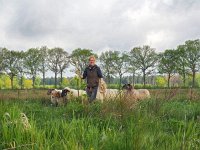 NL, Drenthe, Westerveld, Oude Willem 12, Saxifraga-Hans Dekker