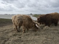 NL, Noord-Brabant, Altena, Japesloot 11, Saxifraga-Willem van Kruijsbergen