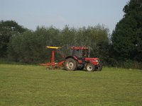 NL, Noord-Brabant, Sint-Oedenrode, Nijnsel, Dommelbeemden 13, Saxifraga-Henk Sierdsema