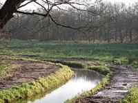 NL, Drenthe, Noordenveld, Slokkert Westervelde 1, Saxifraga-Hans Dekker