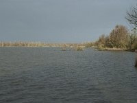 NL, Flevoland, Lelystad, Oostvaardersplassen 5, Saxifraga-Willem van Kruijsbergen