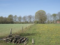 NL, Noord-Brabant, Alphen-Chaam, De Hoevens 20, Saxifraga-Willem van Kruijsbergen