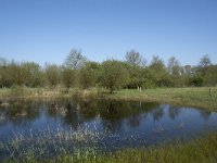 NL, Noord-Brabant, Alphen-Chaam, De Hoevens 31, Saxifraga-Willem van Kruijsbergen