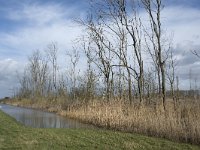 NL, Noord-Brabant, Altena, Boomgat 2, Saxifraga-Willem van Kruijsbergen