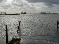 NL, Noord-Brabant, Altena, Braspenning 1, Saxifraga-Jan van der Straaten