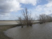 NL, Noord-Brabant, Altena, Braspenning 18, Saxifraga-Willem van Kruijsbergen