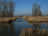 NL, Noord-Brabant, Altena, Galeigat 2, Saxifraga-Jan van der Straaten