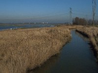 NL, Noord-Brabant, Altena, Galeigat 7, Saxifraga-Jan van der Straaten