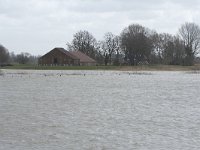 NL, Noord-Brabant, Altena, Huize Keizersguldenwaard 1, Saxifraga-Willem van Kruijsbergen